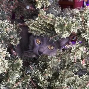 Meet your Posher, Stacey